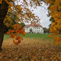 Distance shot of Schloß Hohenroda viewed through colorful leaves.